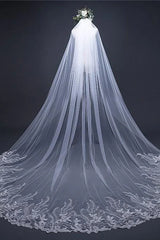 Vintage Long Tulle With Appliques Wedding Veil